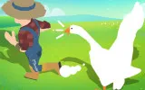 Crazy Goose Simulator