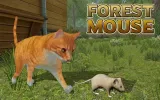 Forest Mouse