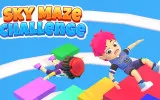 Sky Maze Challenge